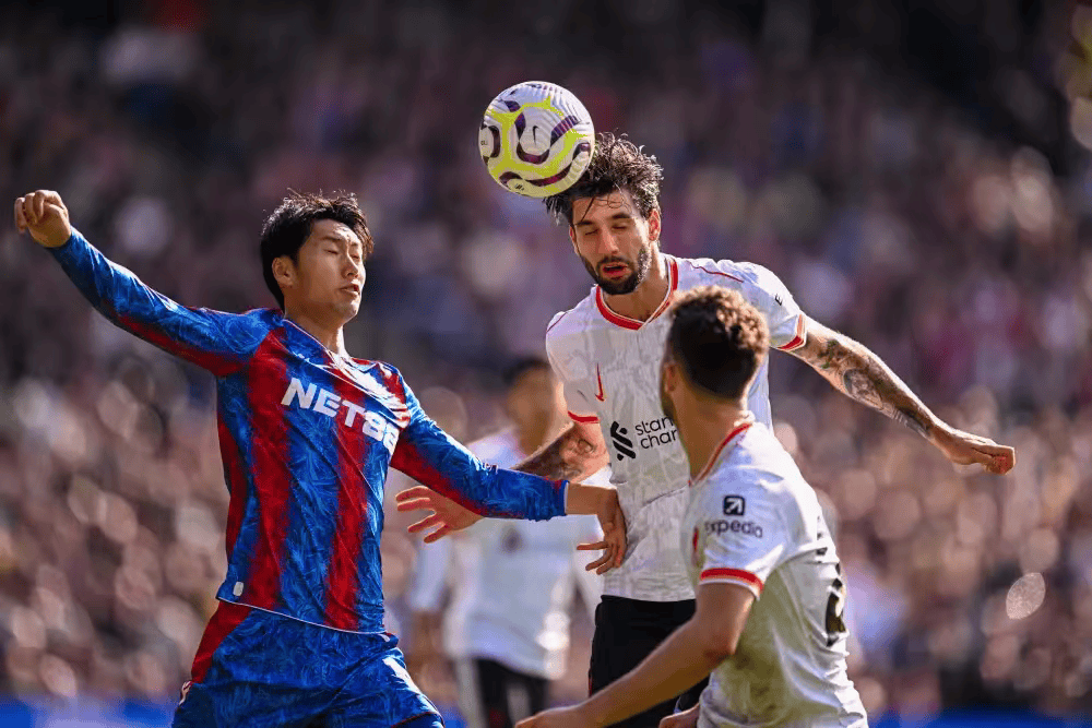 包含西汉姆门线救险备战社区盾比利亚雷亚尔迎英超关键赛，冲刺阶段摩纳哥备战CBA季后赛都惊呆了的词条